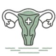 Obstetrics and Gynaecology