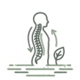 Postural Correction
