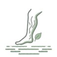 Varicose Veins